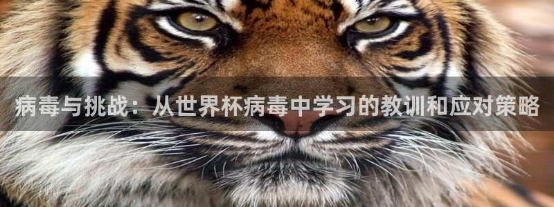 2006年世界杯冠军：病毒与挑战：从世界杯病毒中学习的教训和应对策略