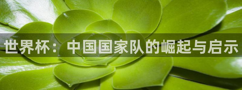 世界杯足球：世界杯：中国国家队的崛起与启示
