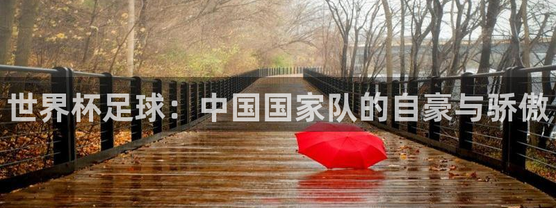 世界杯亚洲区预选赛积分榜：世界杯足球：中国国家队的自豪与骄傲