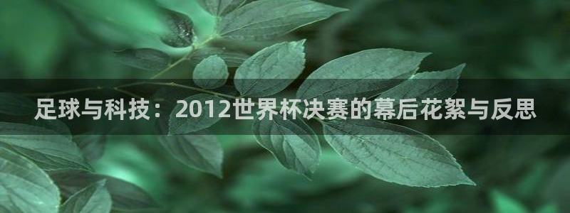 美洲杯直播：足球与科技：2012世界杯决赛的幕后花絮与反思