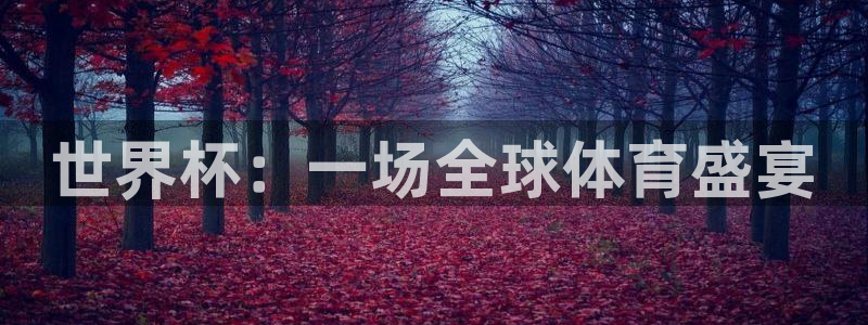 世界杯比赛：世界杯：一场全球体育盛宴