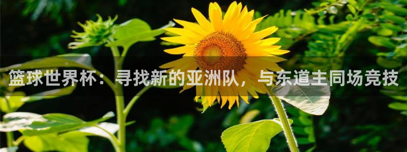 看世界杯：篮球世界杯：寻找新的亚洲队，与东道主同场竞技