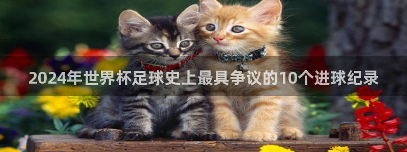 欧洲区世界杯预选赛：2024年世界杯足球史上最具争议的10个进球纪录
