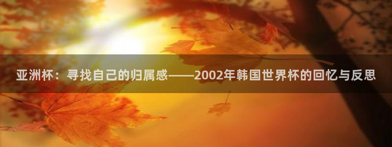 世界杯附加赛赛程表：亚洲杯：寻找自己的归属感——2002年韩国世界杯的回忆与反思