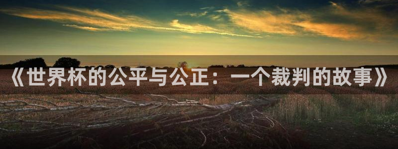 世界杯足球：《世界杯的公平与公正：一个裁判的故事》