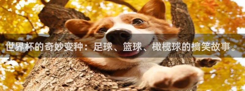 世界杯小组赛赛程：世界杯的奇妙变种：足球、篮球、橄榄球的搞笑故事。