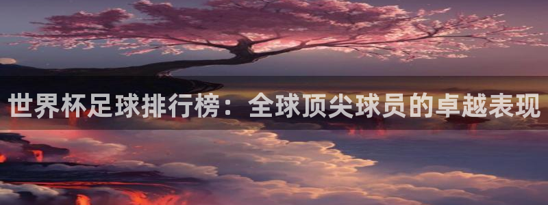 世界杯决赛直播：世界杯足球排行榜：全球顶尖球员的卓越表现