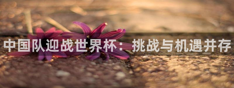 足球世界杯：中国队迎战世界杯：挑战与机遇并存